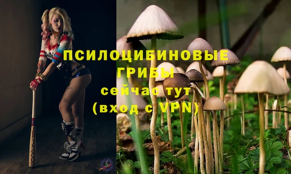 MESCALINE Абинск