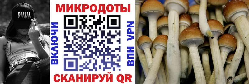 shop Telegram  Фрязино  Псилоцибиновые грибы GOLDEN TEACHER  купить наркоту 